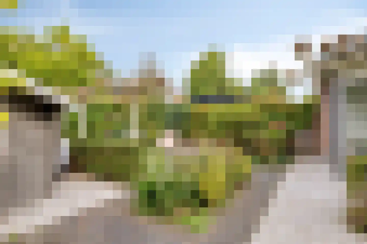 Rithsestraat 30 Breda thumbnail 38