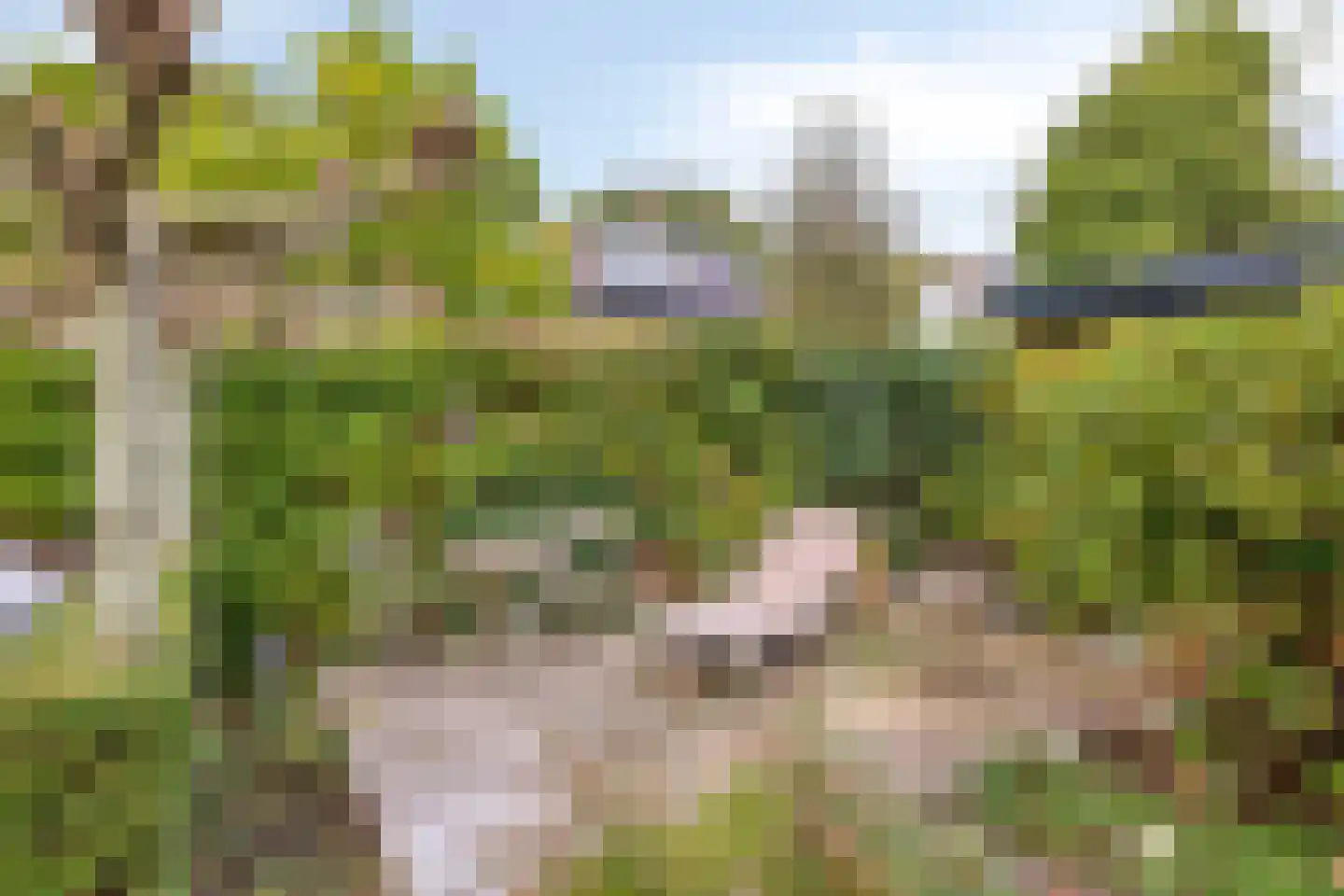 Rithsestraat 30 Breda thumbnail 39