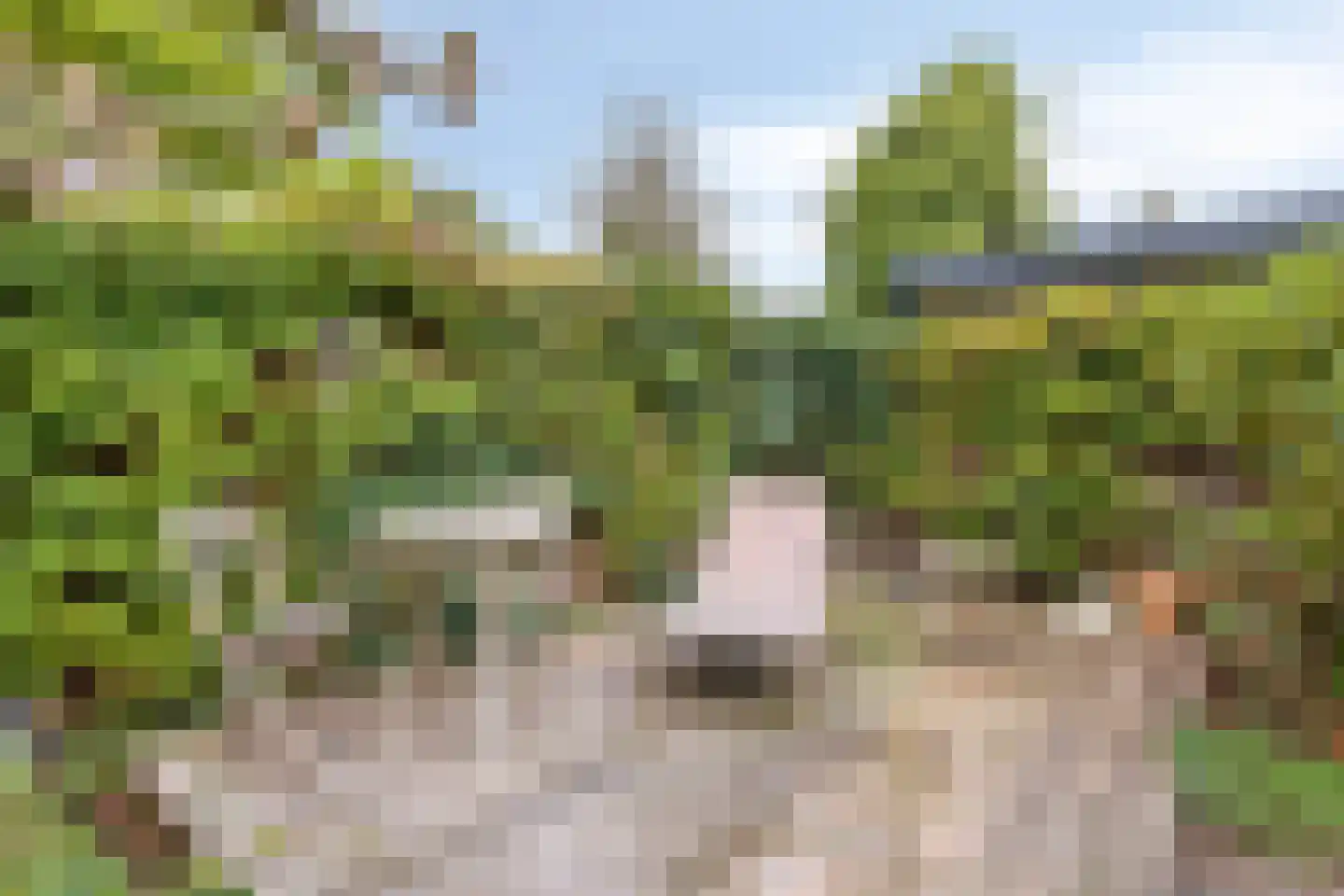 Rithsestraat 30 Breda thumbnail 41