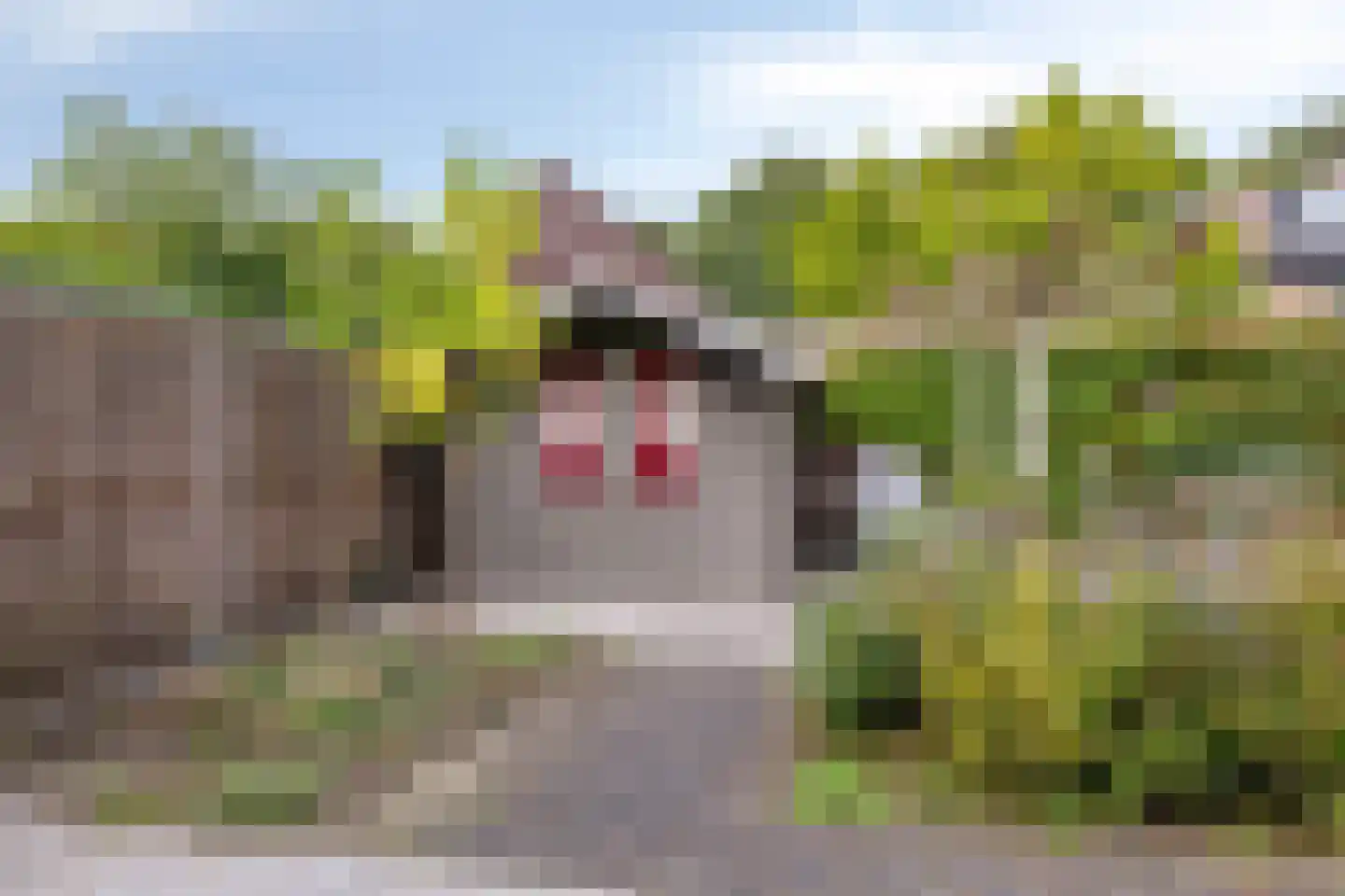Rithsestraat 30 Breda thumbnail 45