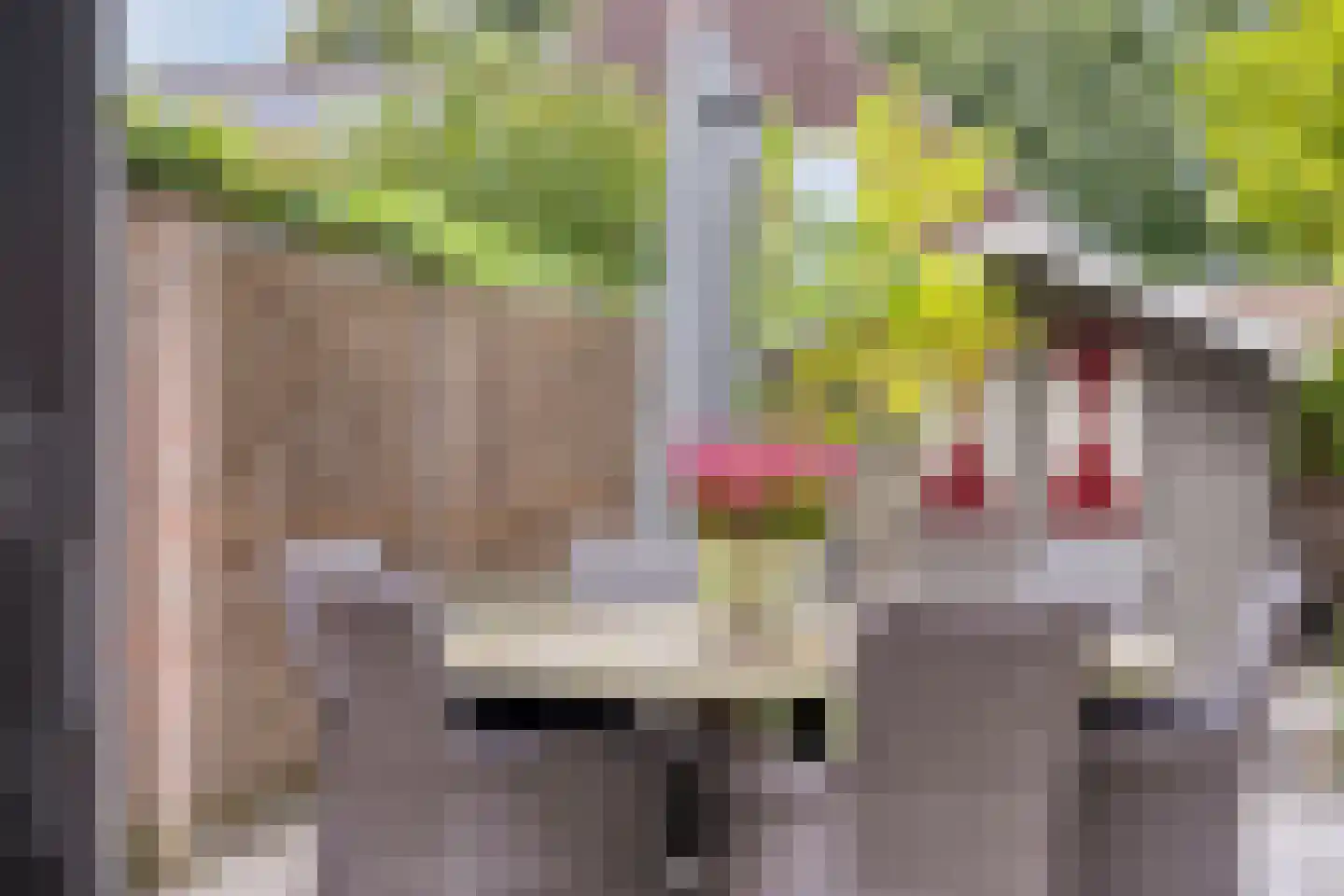 Rithsestraat 30 Breda thumbnail 46