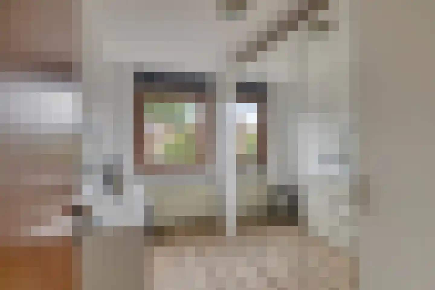 Rithsestraat 38 Breda thumbnail 21