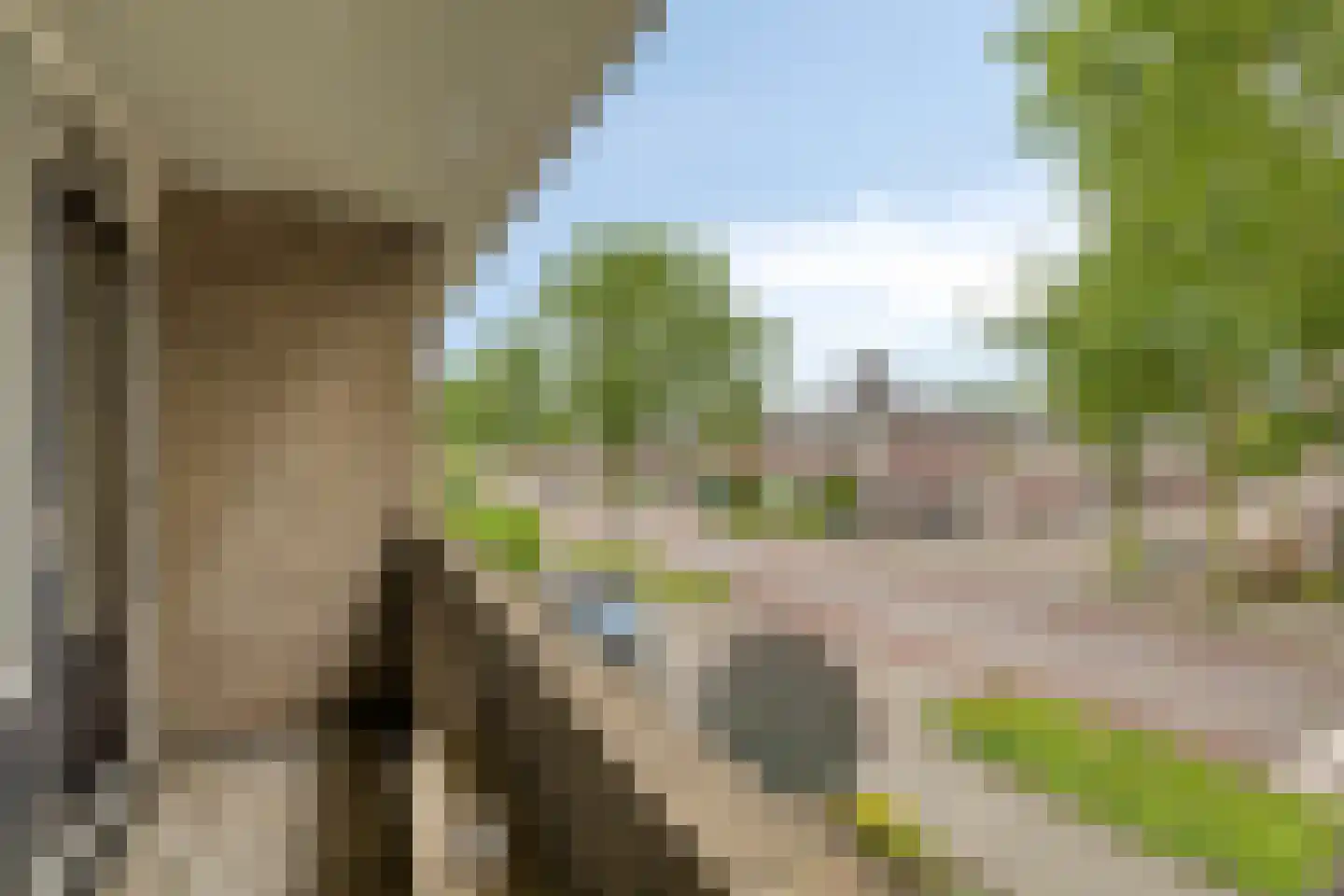 Rithsestraat 38 Breda thumbnail 25