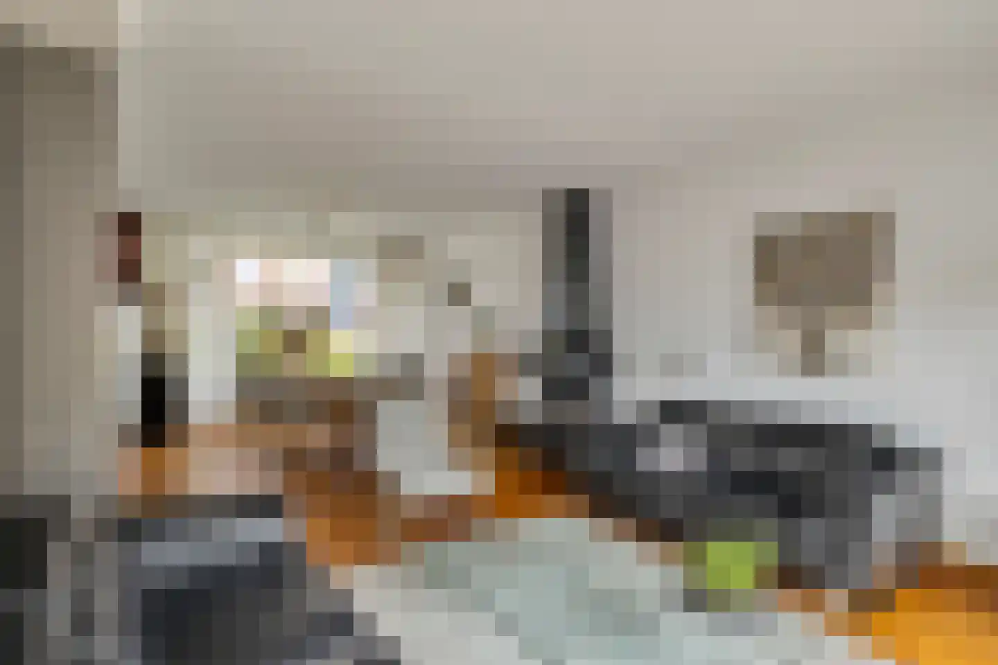 Rithsestraat 38 Breda thumbnail 9