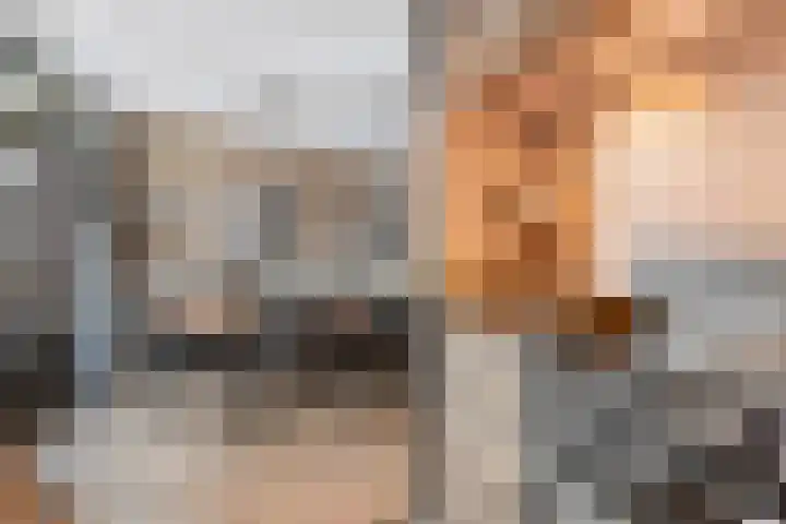 Rithsestraat 7 Breda thumbnail 12