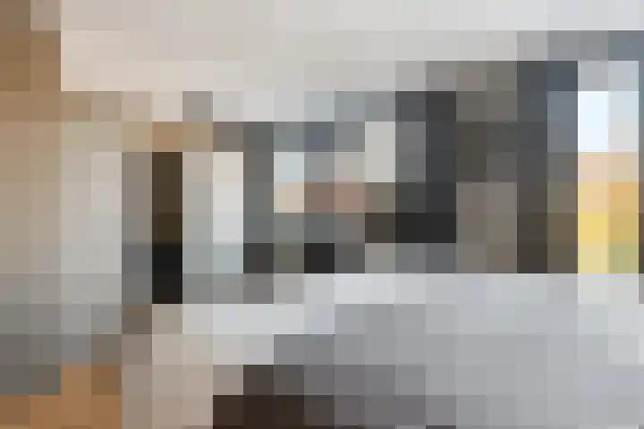 Rithsestraat 7 Breda thumbnail 22