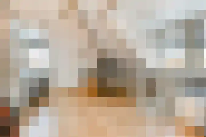 Rithsestraat 7 Breda thumbnail 35
