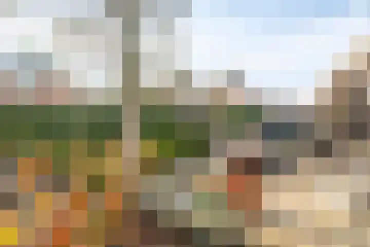 Rithsestraat 7 Breda thumbnail 37