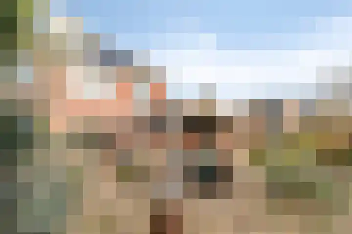 Rithsestraat 7 Breda thumbnail 41