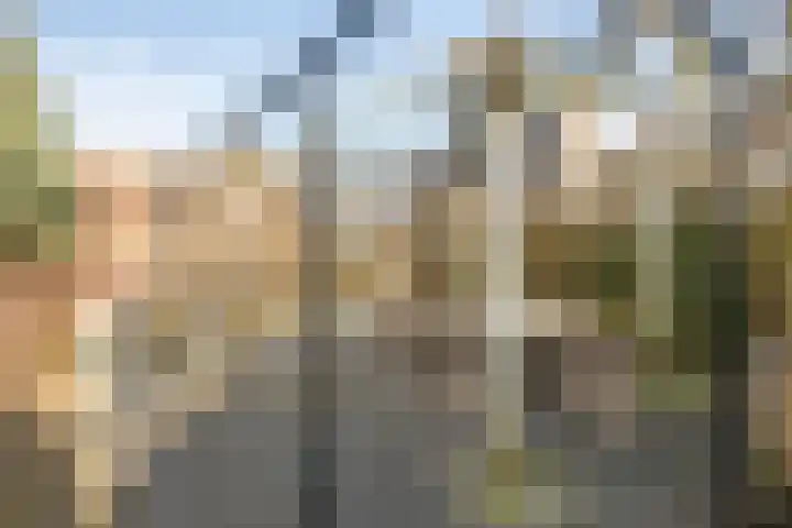Rithsestraat 7 Breda thumbnail 42