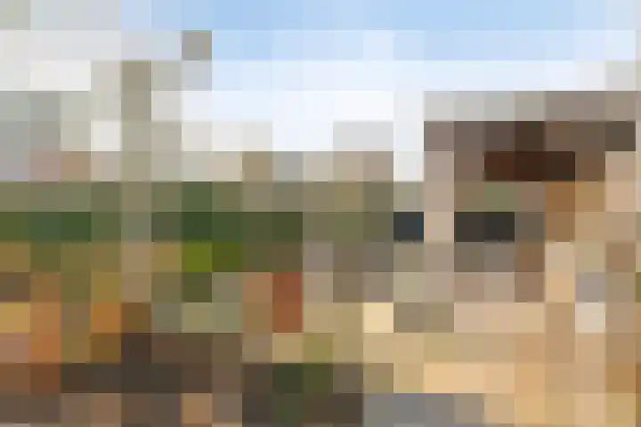 Rithsestraat 7 Breda thumbnail 43