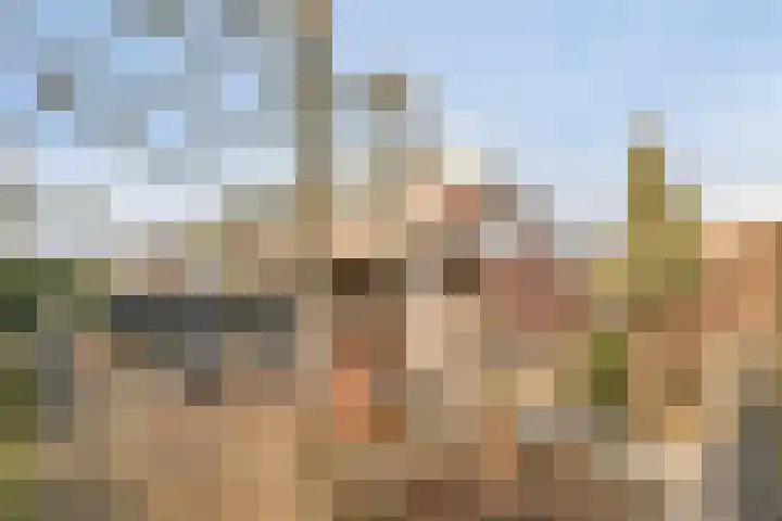 Rithsestraat 7 Breda thumbnail 45