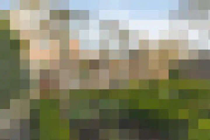 Rithsestraat 7 Breda thumbnail 48