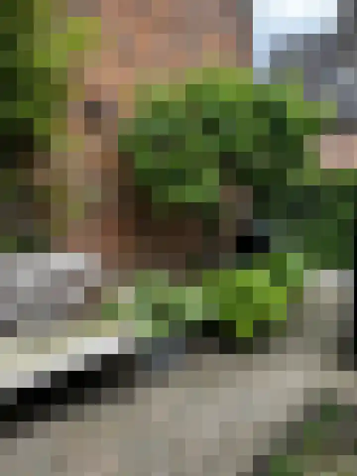 Rithsestraat 7 Breda thumbnail 50