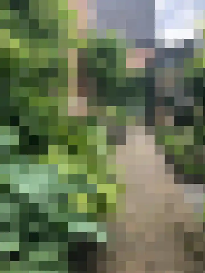 Rithsestraat 7 Breda thumbnail 52