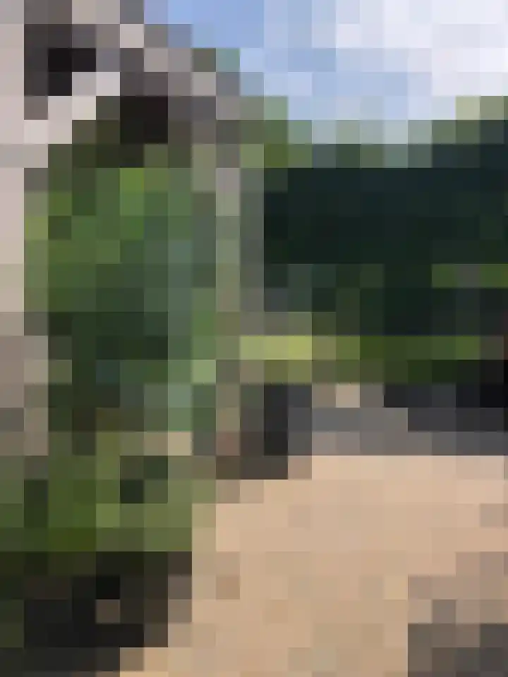 Rithsestraat 7 Breda thumbnail 53