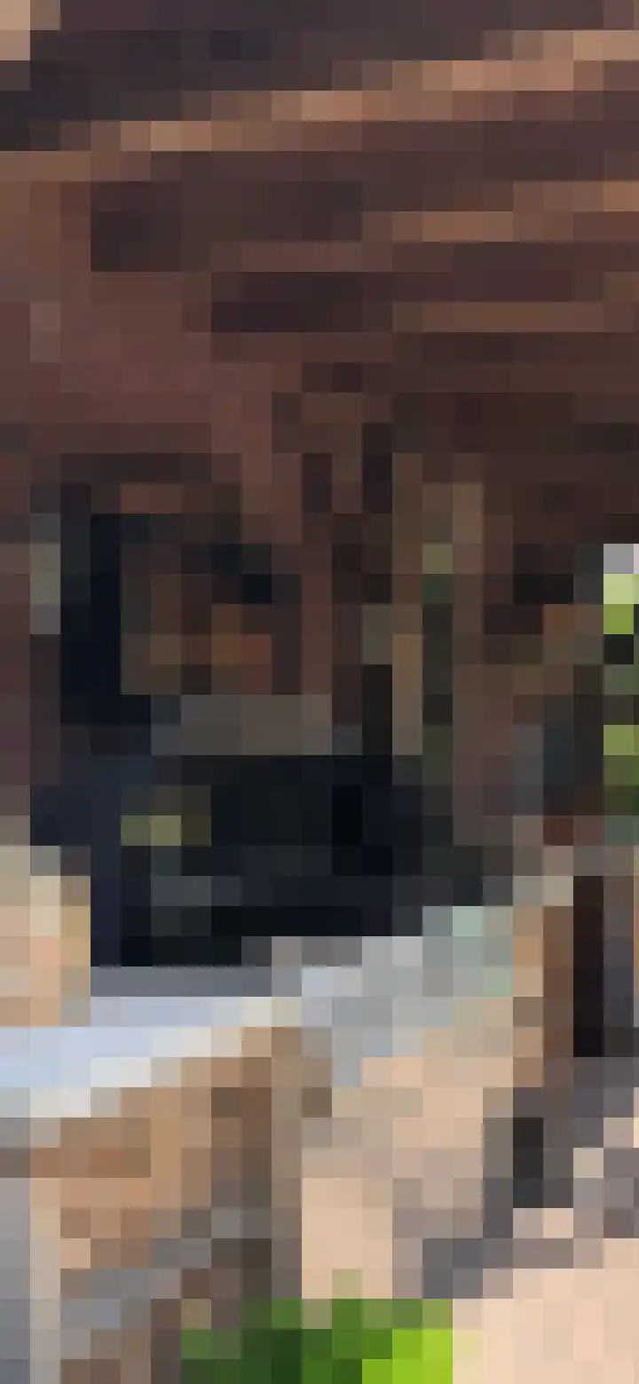 Rithsestraat 7 Breda thumbnail 55