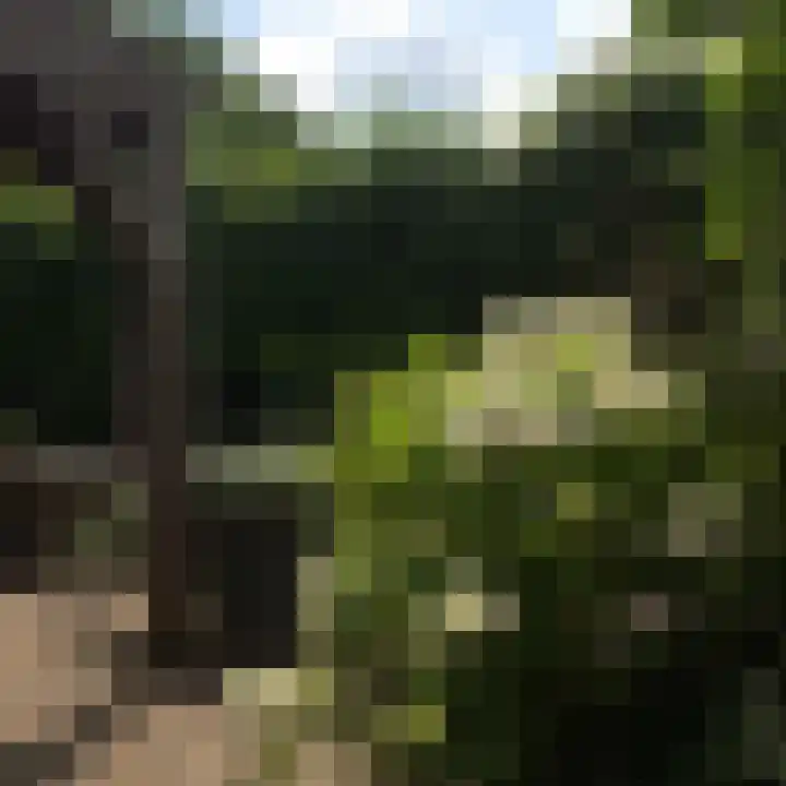 Rithsestraat 7 Breda thumbnail 56