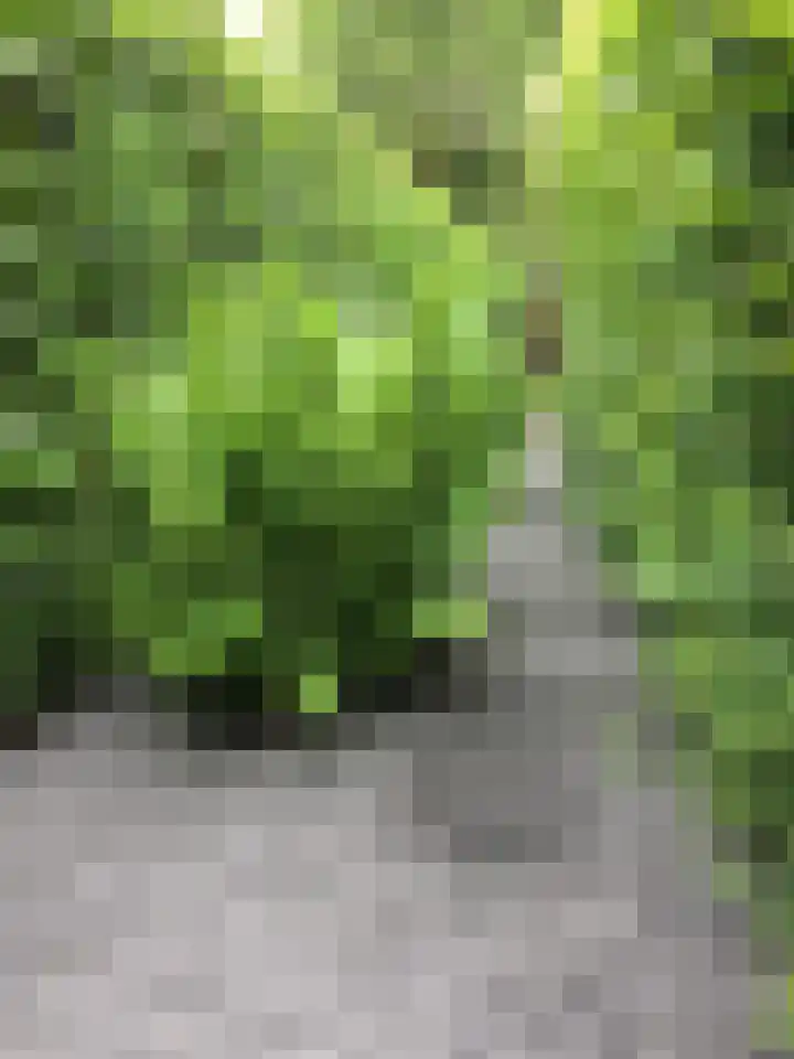 Rithsestraat 7 Breda thumbnail 57