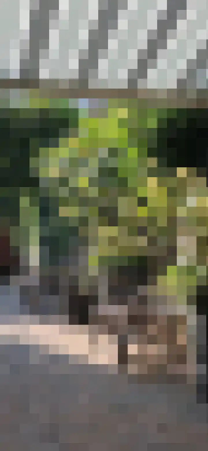 Rithsestraat 7 Breda thumbnail 58