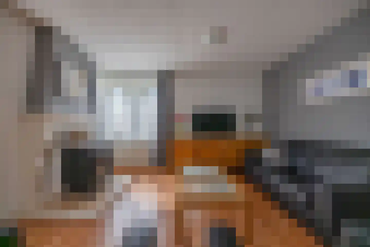 Ritmasterswyk 17 Boelenslaan thumbnail 14