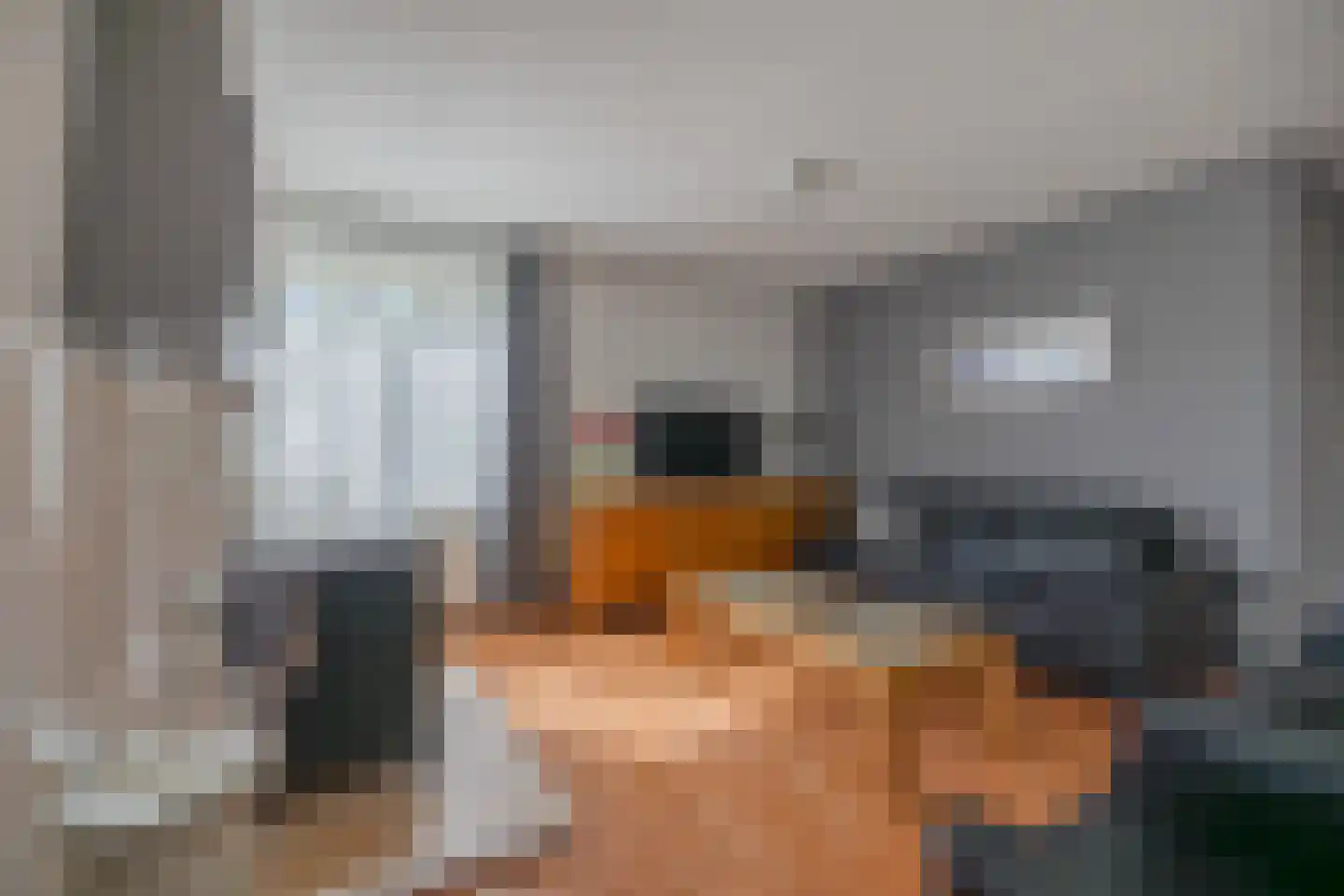 Ritmasterswyk 17 Boelenslaan thumbnail 15