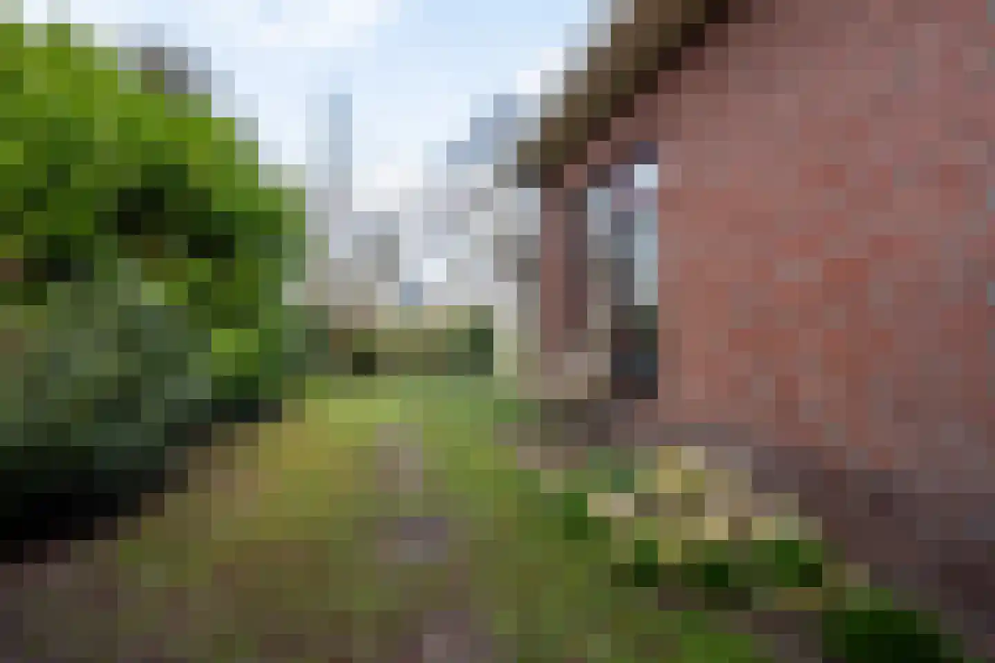 Ritmasterswyk 2 Boelenslaan thumbnail 39