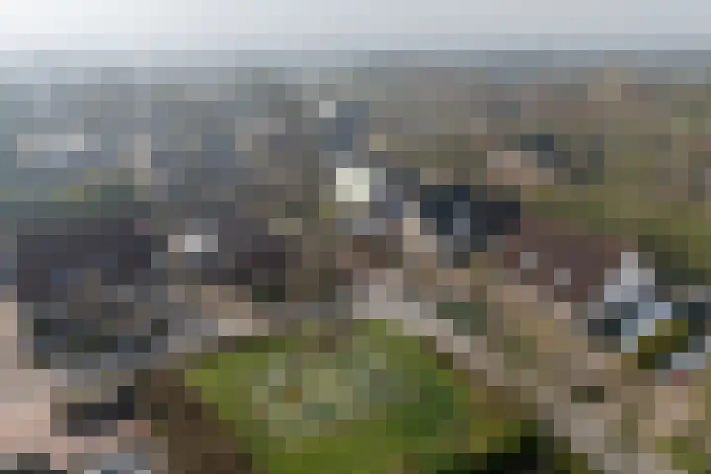 Ritmasterswyk 2 Boelenslaan thumbnail 47