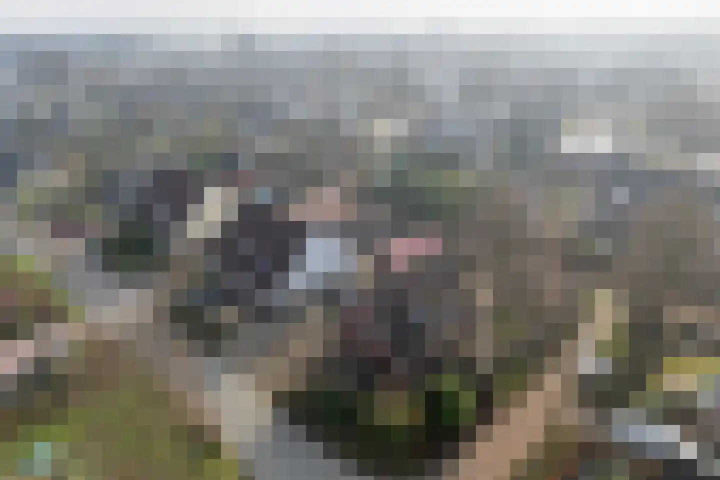 Ritmasterswyk 2 Boelenslaan thumbnail 48