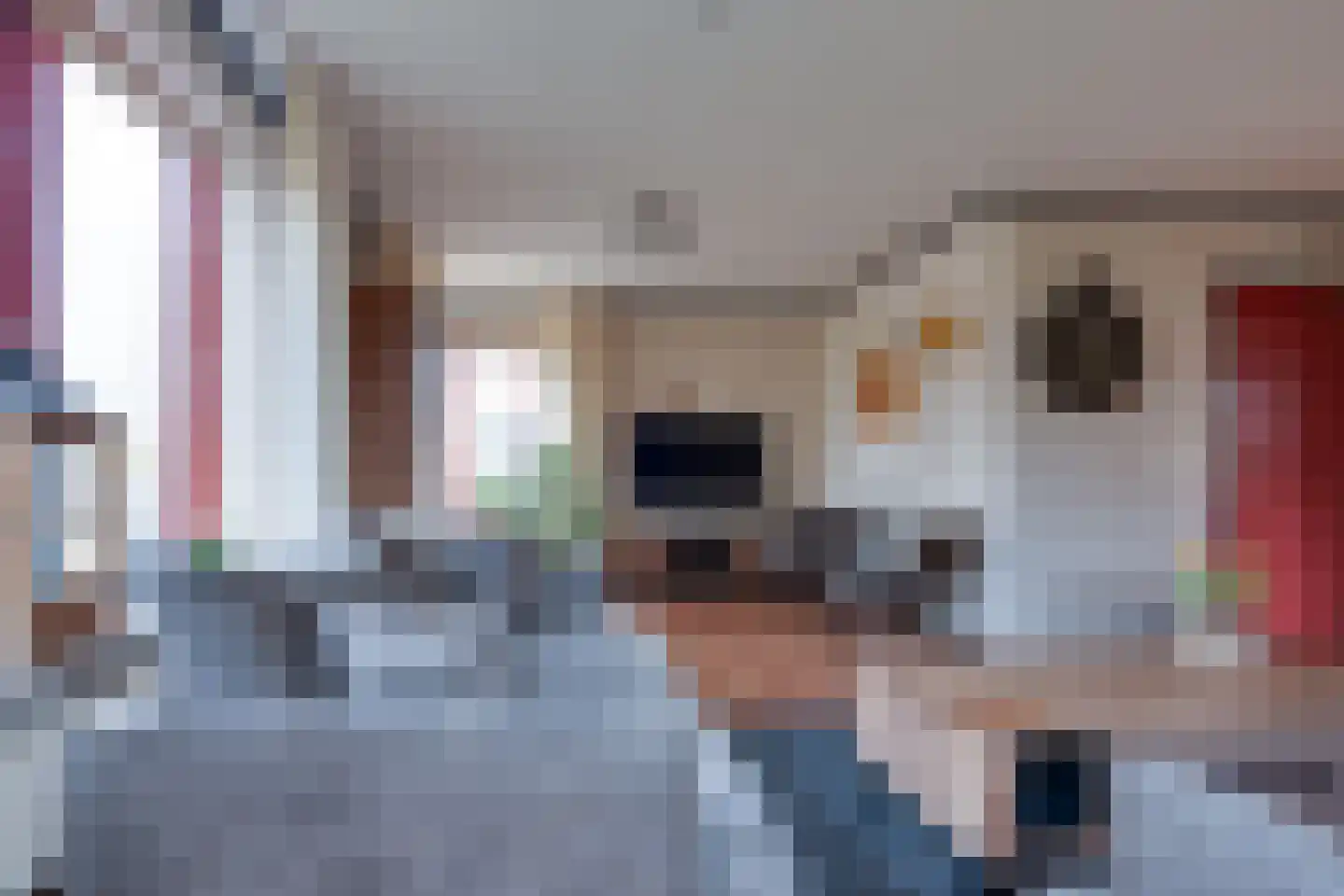 Ritmasterswyk 2 Boelenslaan thumbnail 8