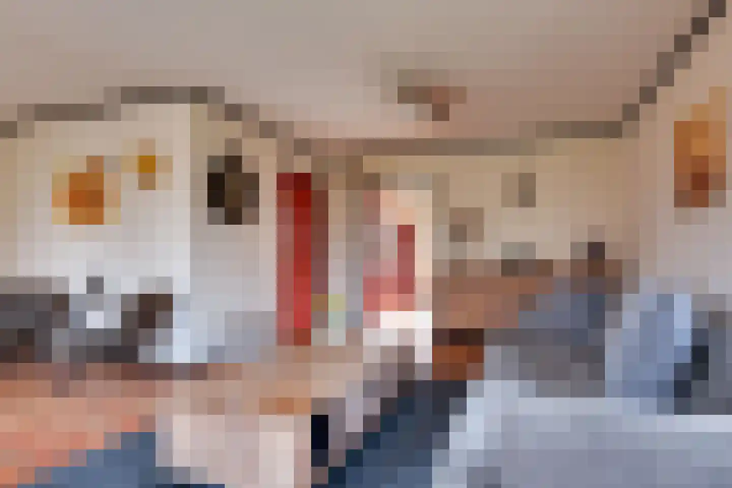 Ritmasterswyk 2 Boelenslaan thumbnail 9