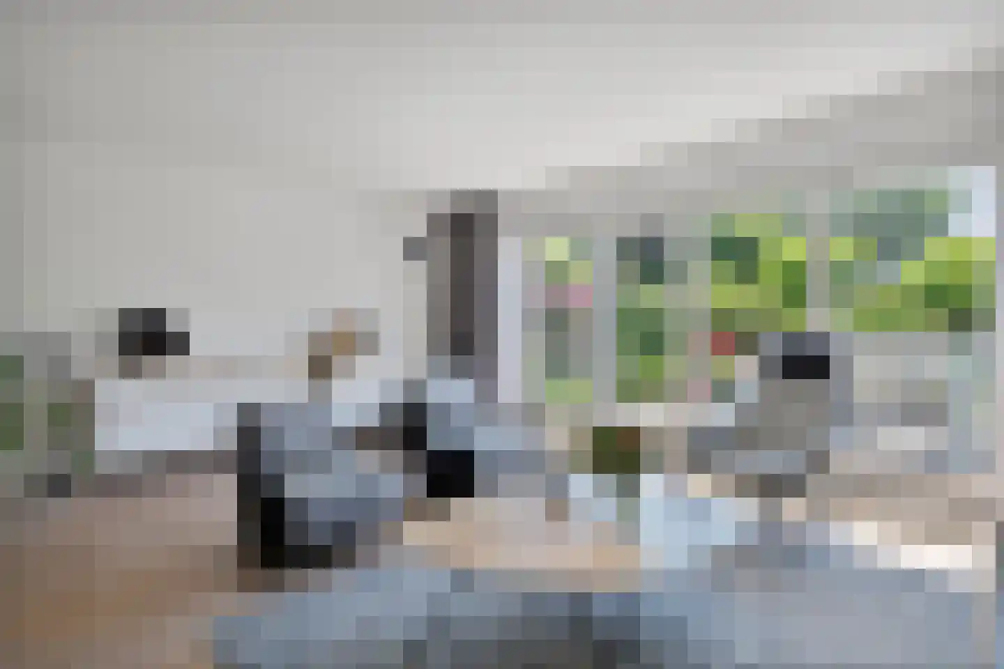 Ritmeesterlaan 10 Veenendaal thumbnail 11