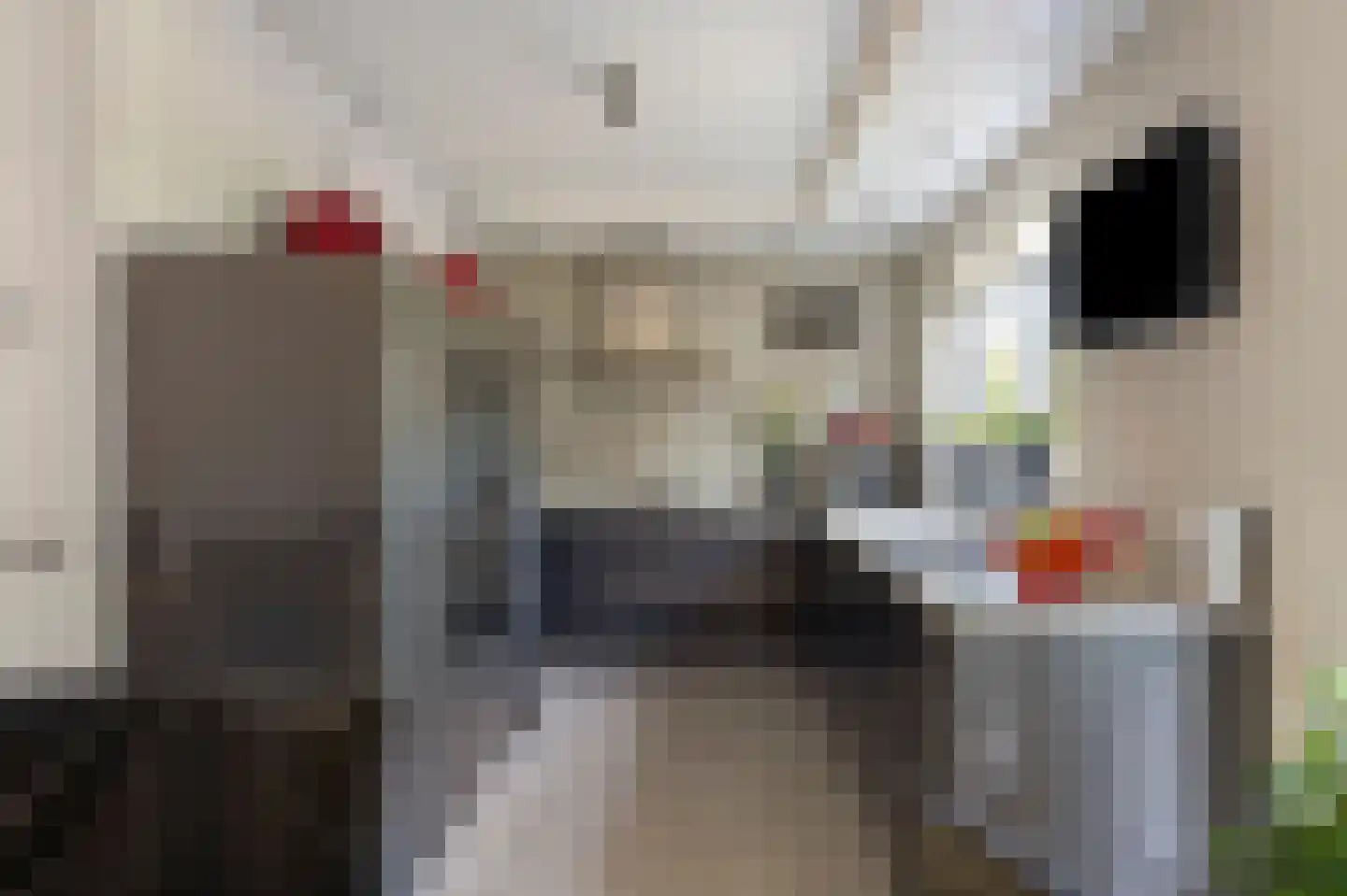 Ritmeesterlaan 10 Veenendaal thumbnail 16