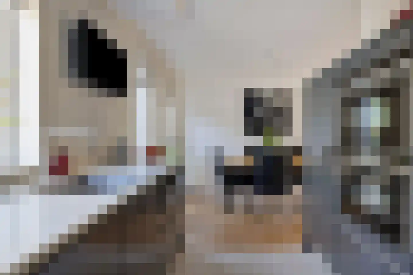 Ritmeesterlaan 10 Veenendaal thumbnail 19