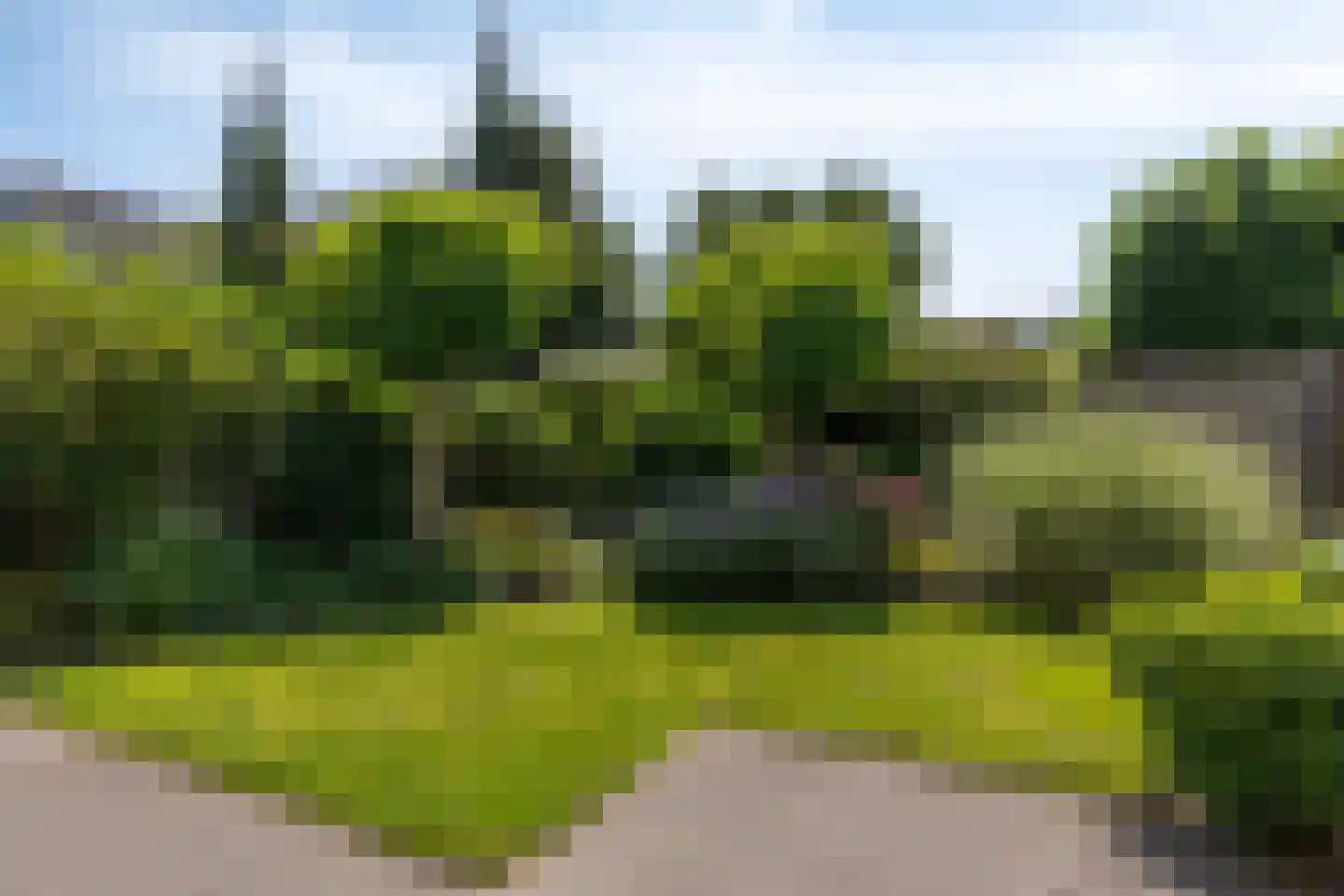 Ritmeesterlaan 10 Veenendaal thumbnail 39