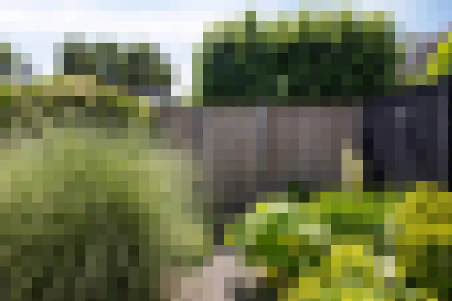 Ritmeesterlaan 10 Veenendaal thumbnail 41