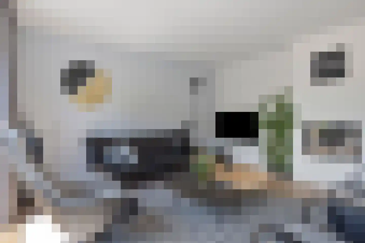 Ritmeesterlaan 10 Veenendaal thumbnail 9