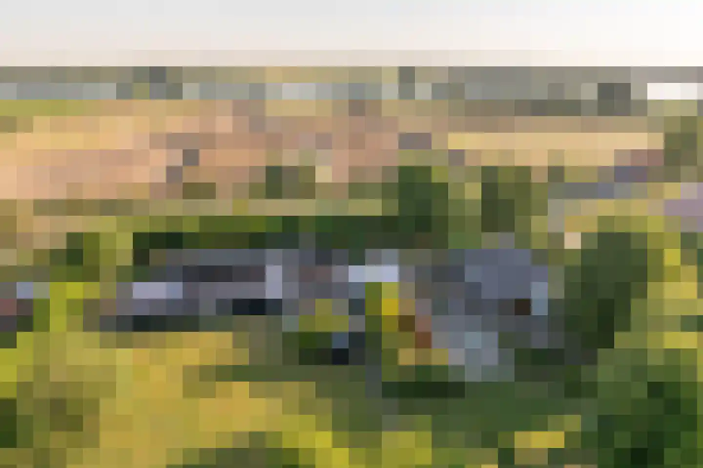Ritselaarsdijk 10 Strijen