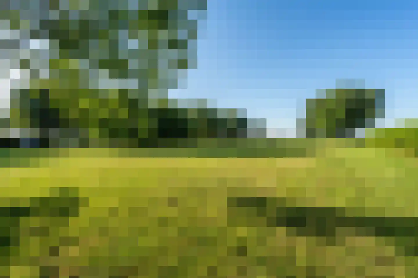 Ritselaarsdijk 10 Strijen thumbnail 14