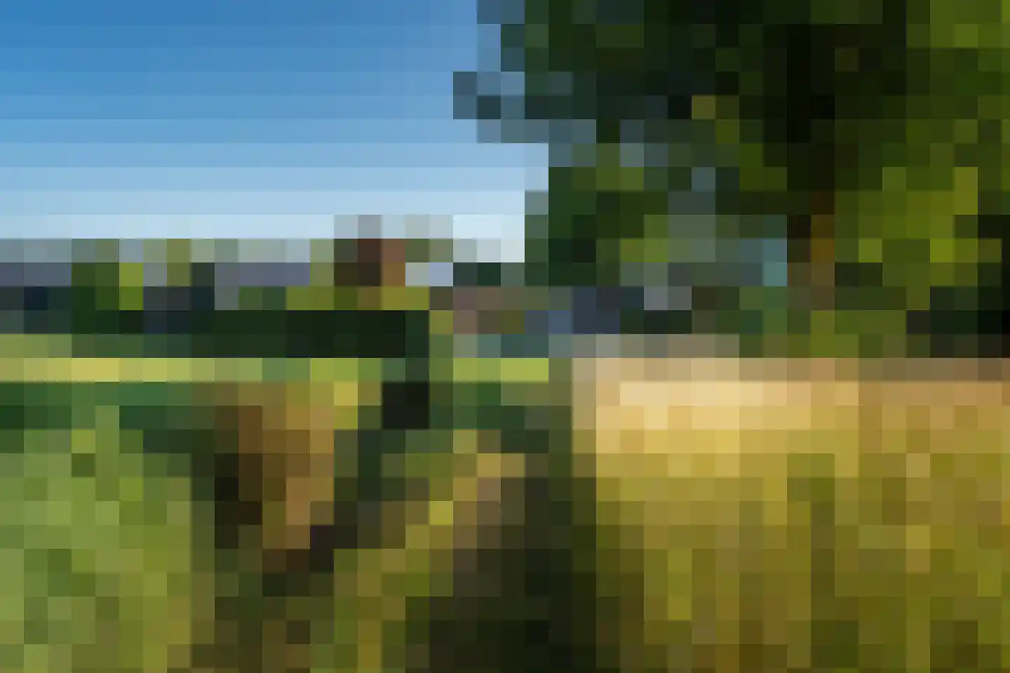 Ritselaarsdijk 10 Strijen foto 3