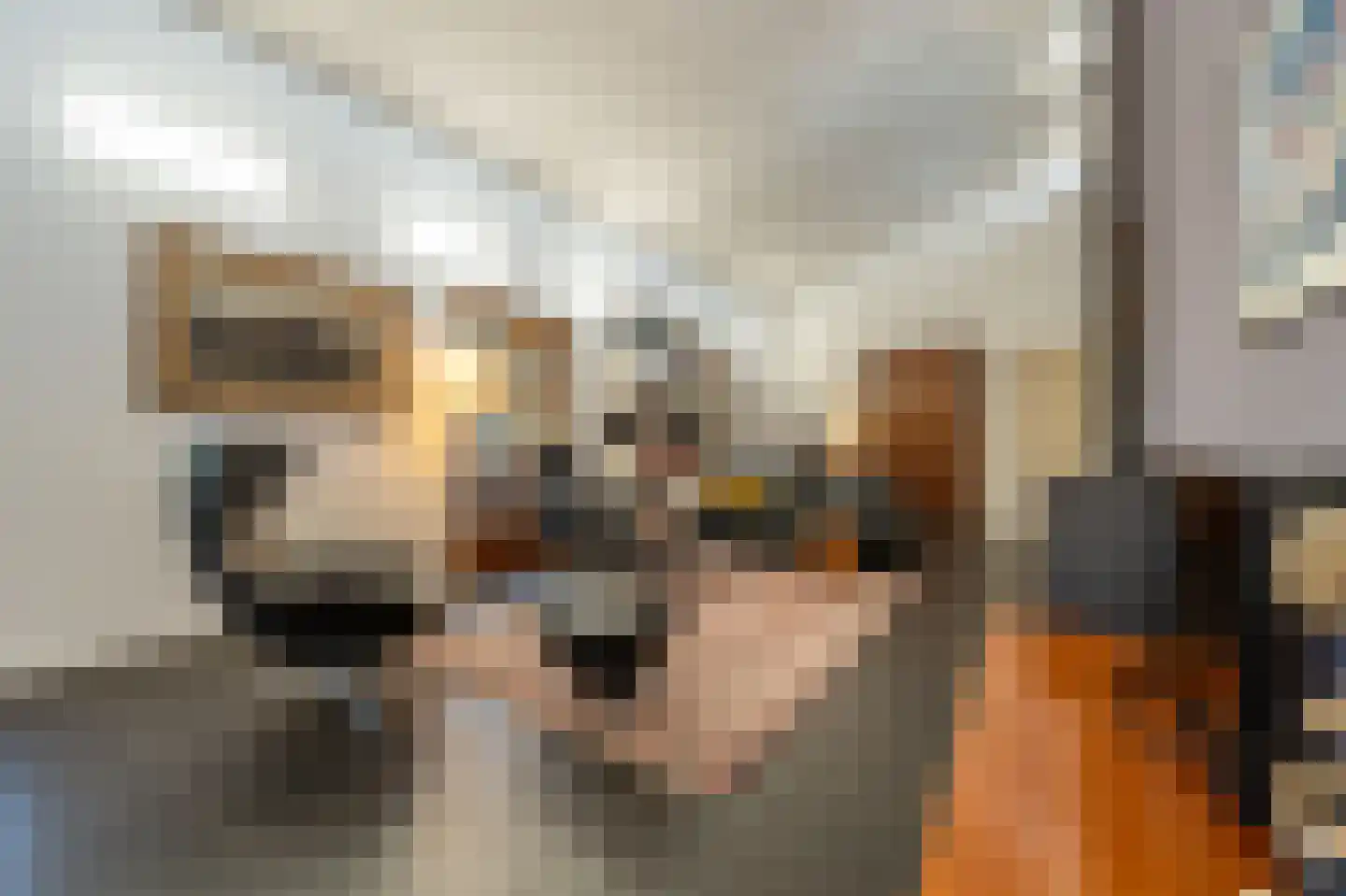 Ritselaarsdijk 10 Strijen thumbnail 31
