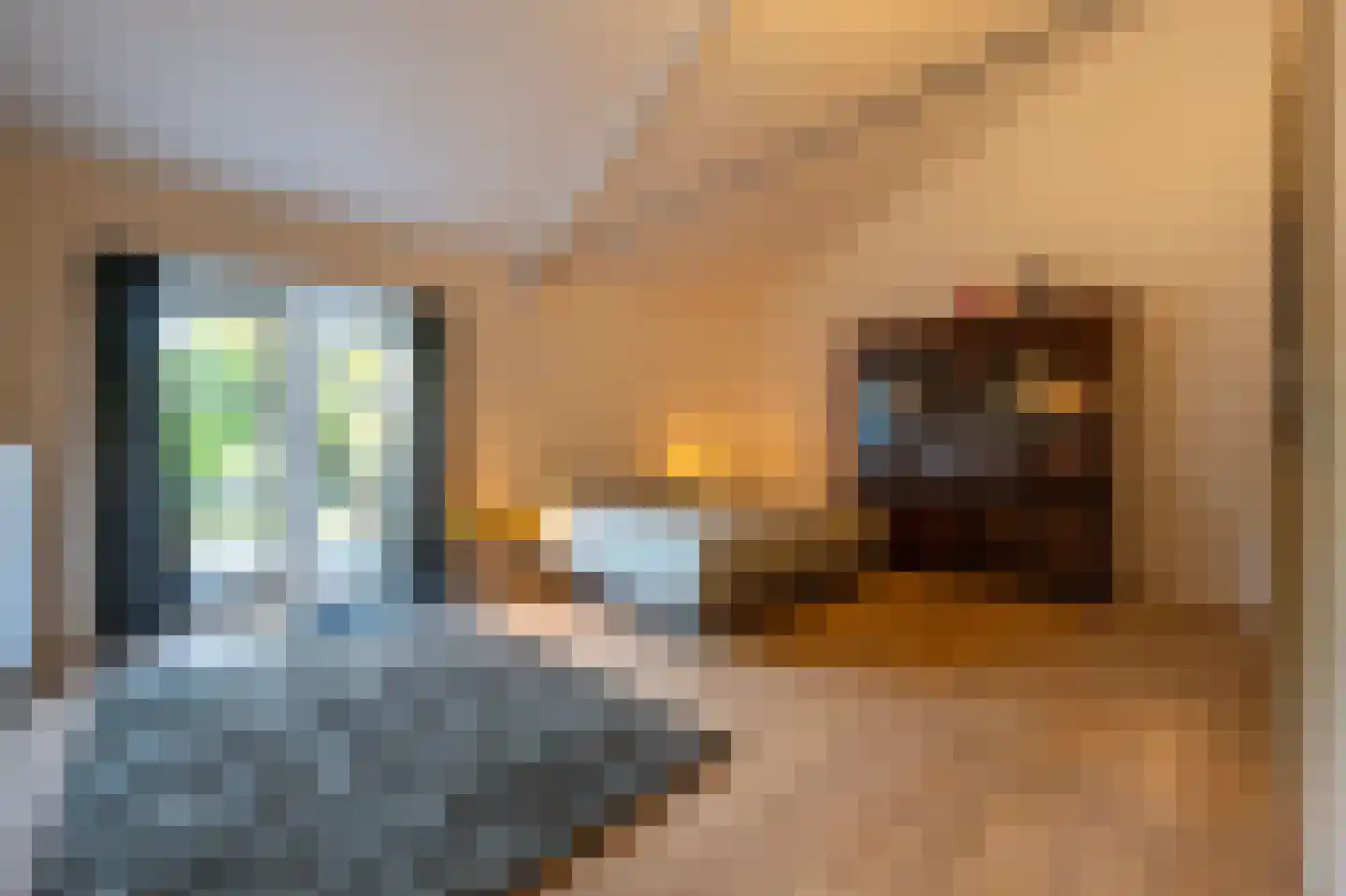 Ritselaarsdijk 10 Strijen thumbnail 47