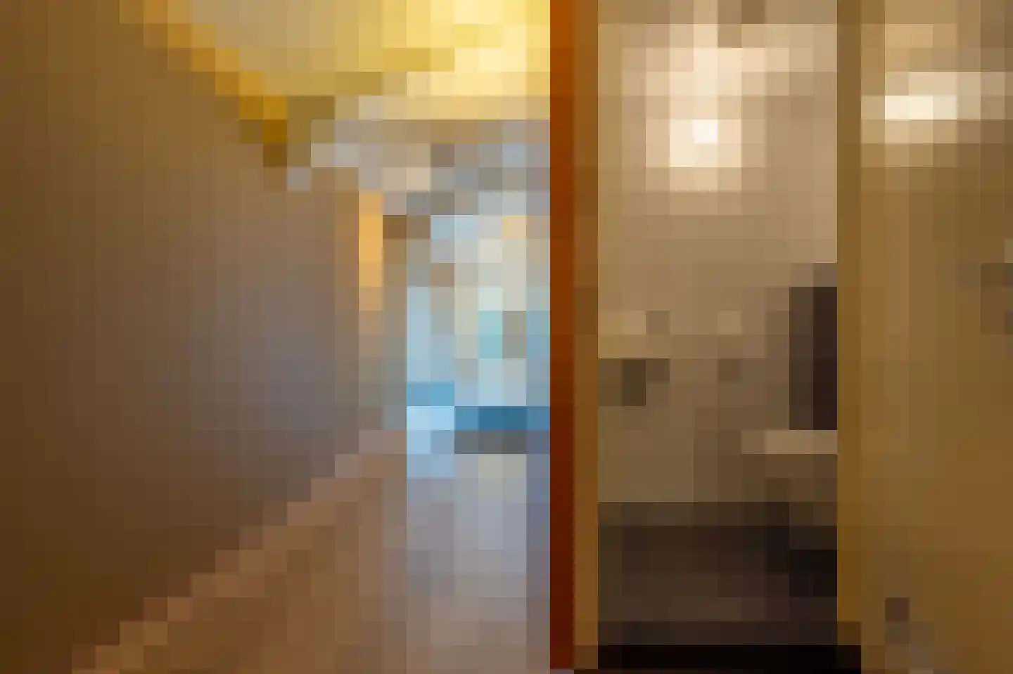 Ritselaarsdijk 10 Strijen thumbnail 52