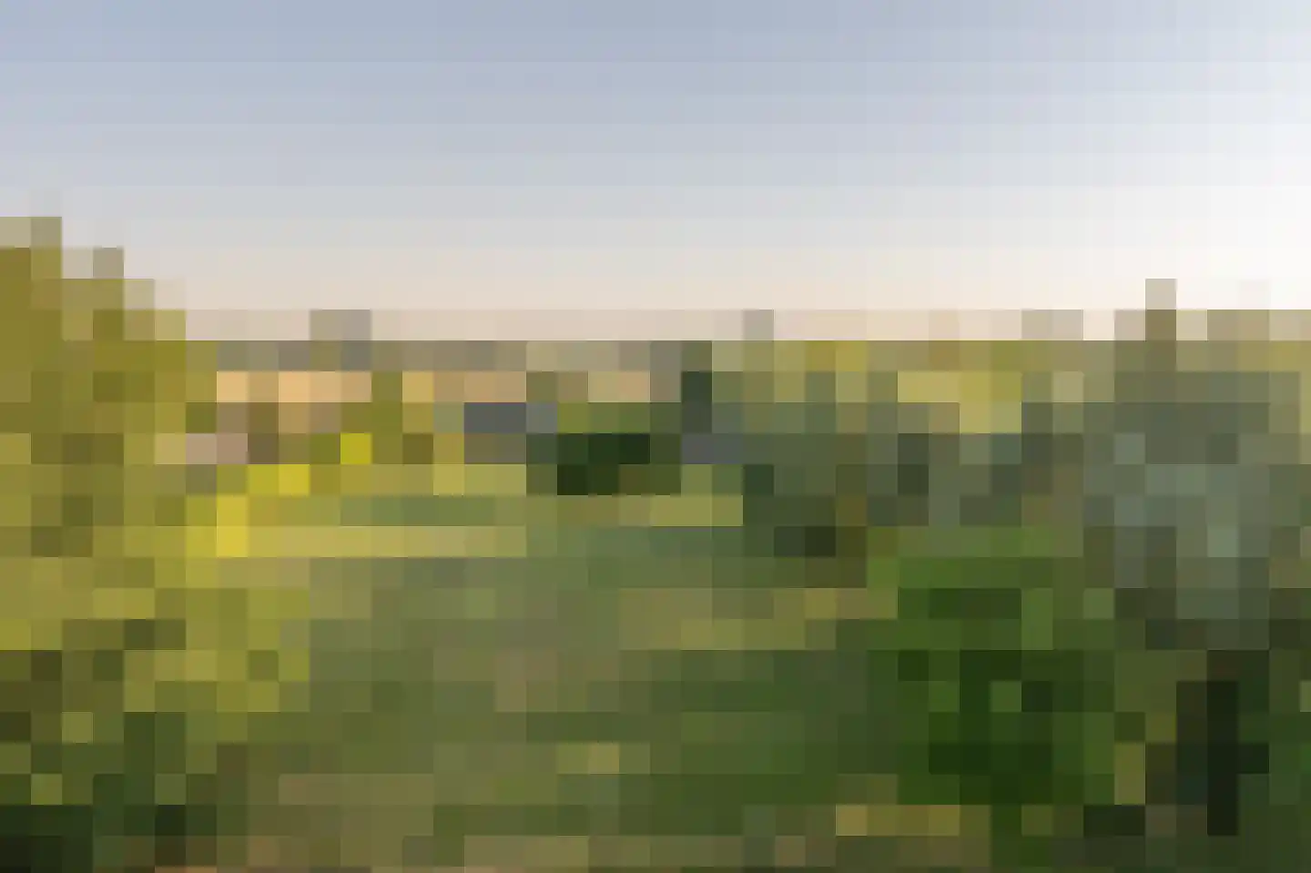 Ritselaarsdijk 10 Strijen thumbnail 61