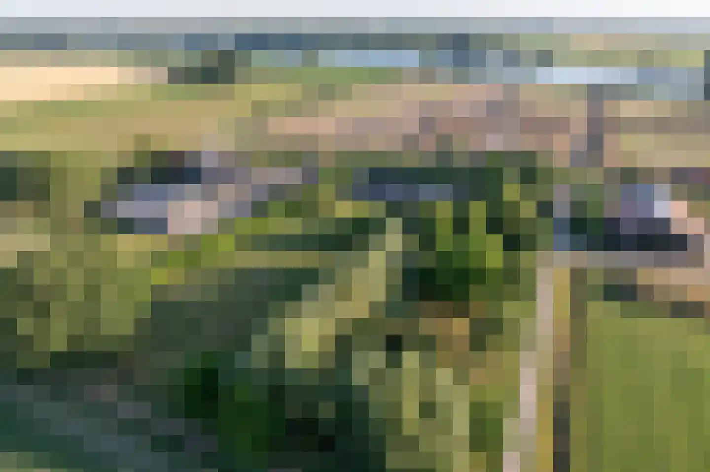 Ritselaarsdijk 10 Strijen thumbnail 62