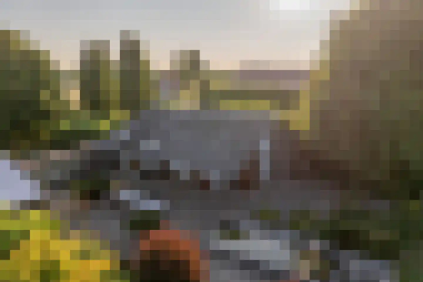 Ritselaarsdijk 10 Strijen thumbnail 64