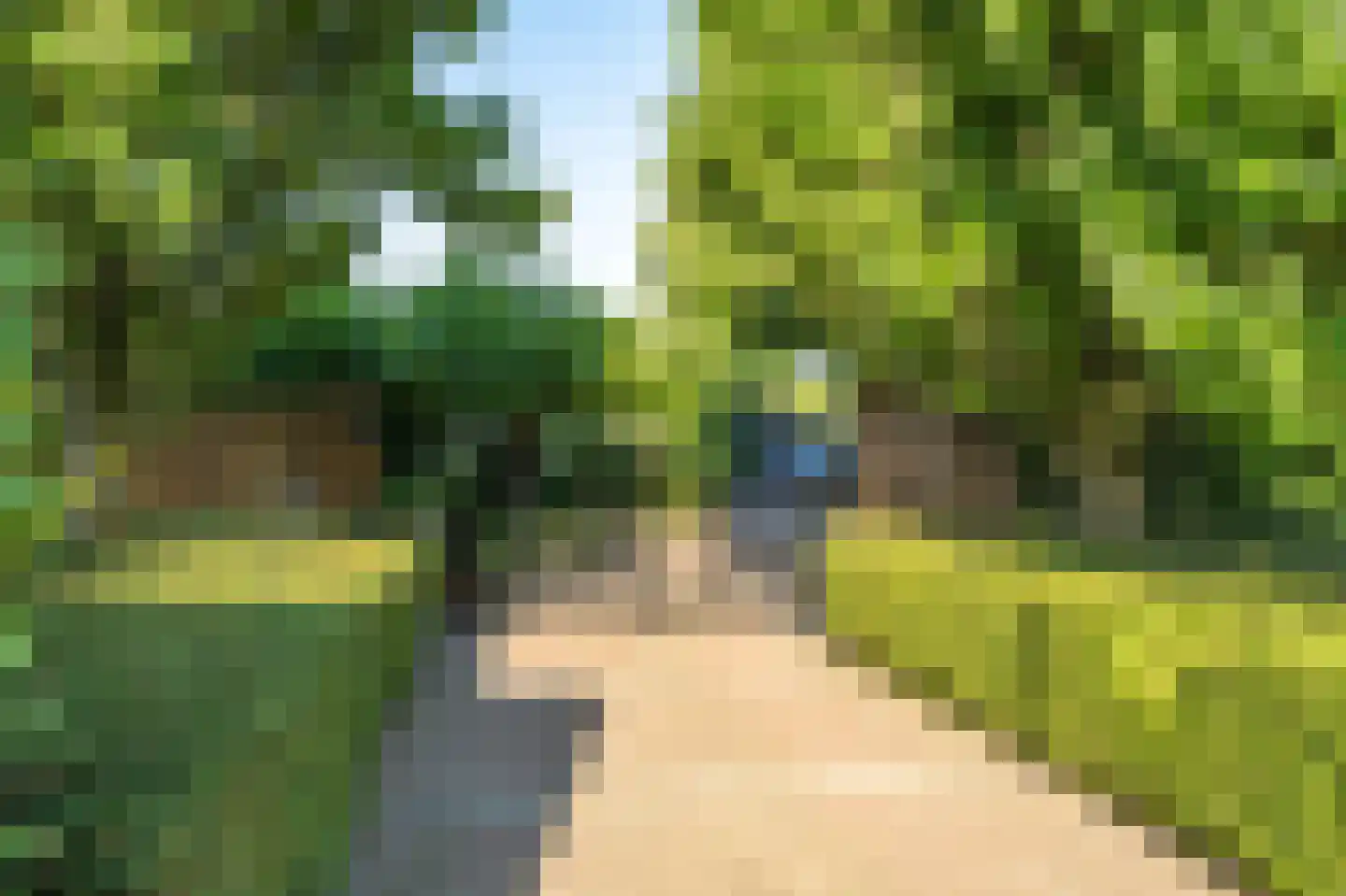 Ritselaarsdijk 10 Strijen thumbnail 8