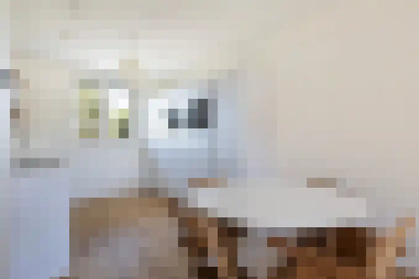 Ritseling 6 Maassluis thumbnail 14