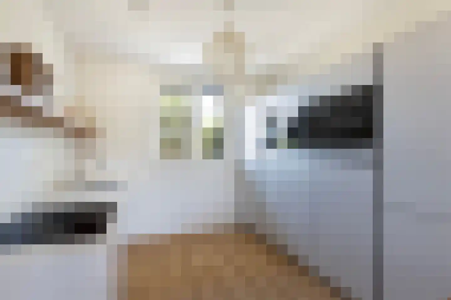 Ritseling 6 Maassluis thumbnail 4
