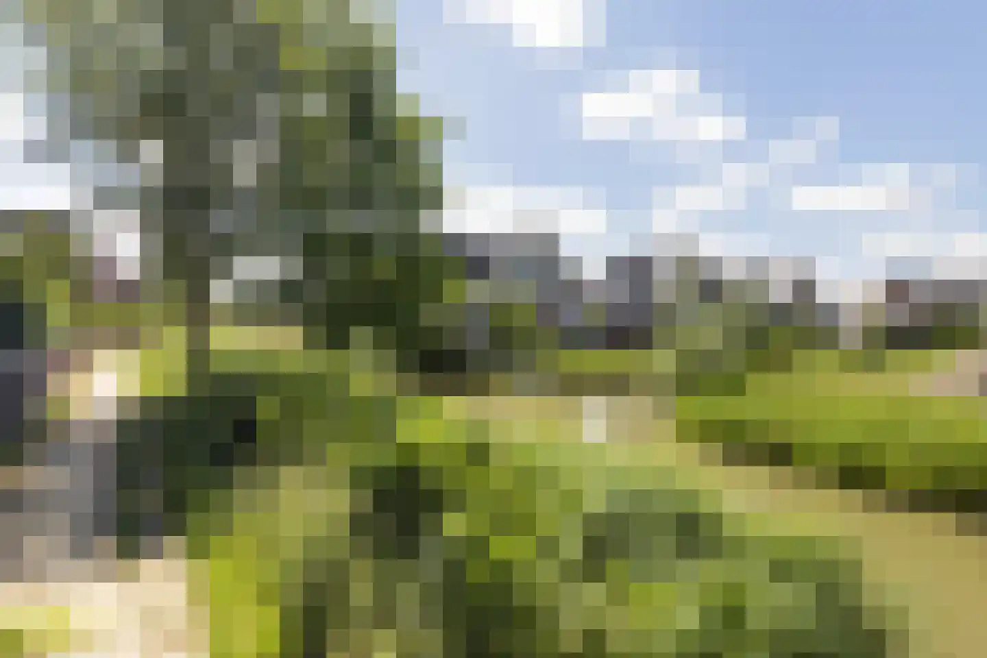 Ritseling 6 Maassluis thumbnail 44